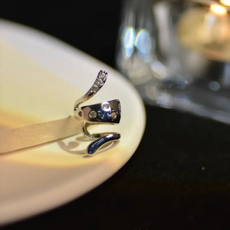 Schicker, silberfarbener Ohrring mit glänzendem Schlangen-Strass (einzeln)