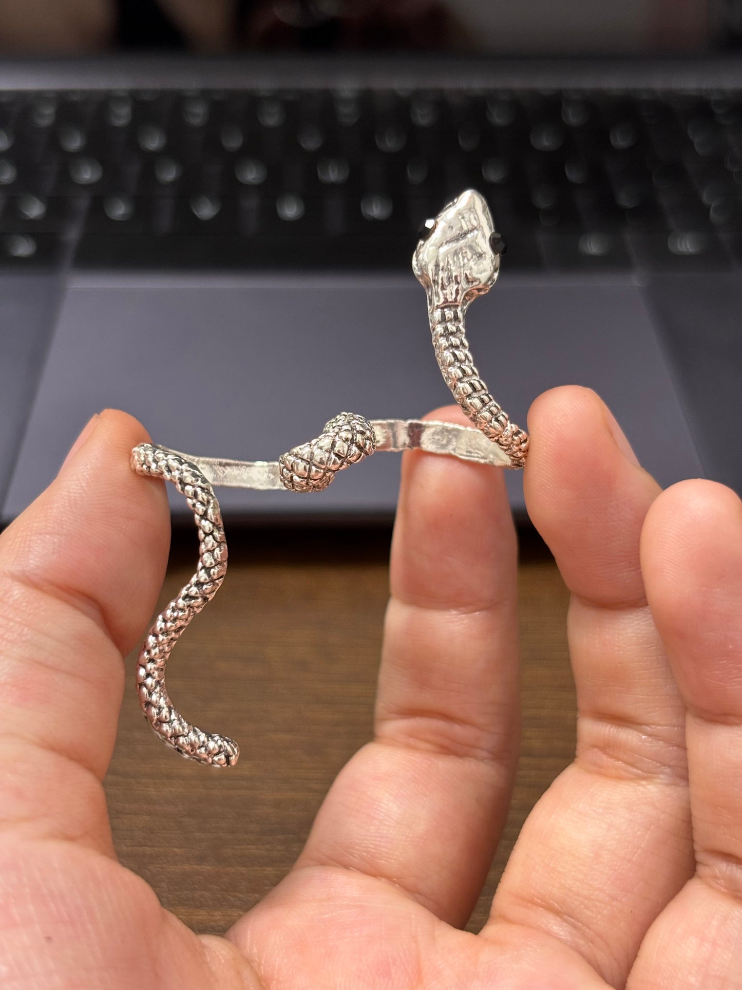 Schicke Designer-Ohrstecker mit Schlangenmotiv aus silbernem Metall