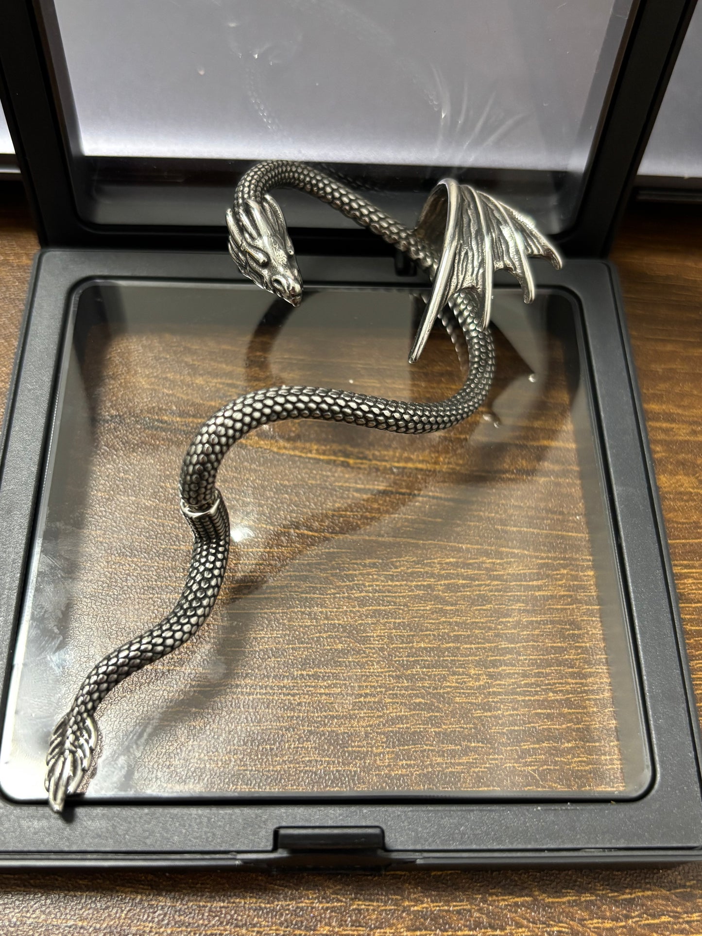Unisex Punk Stainless Steel Dragon Twining Earring