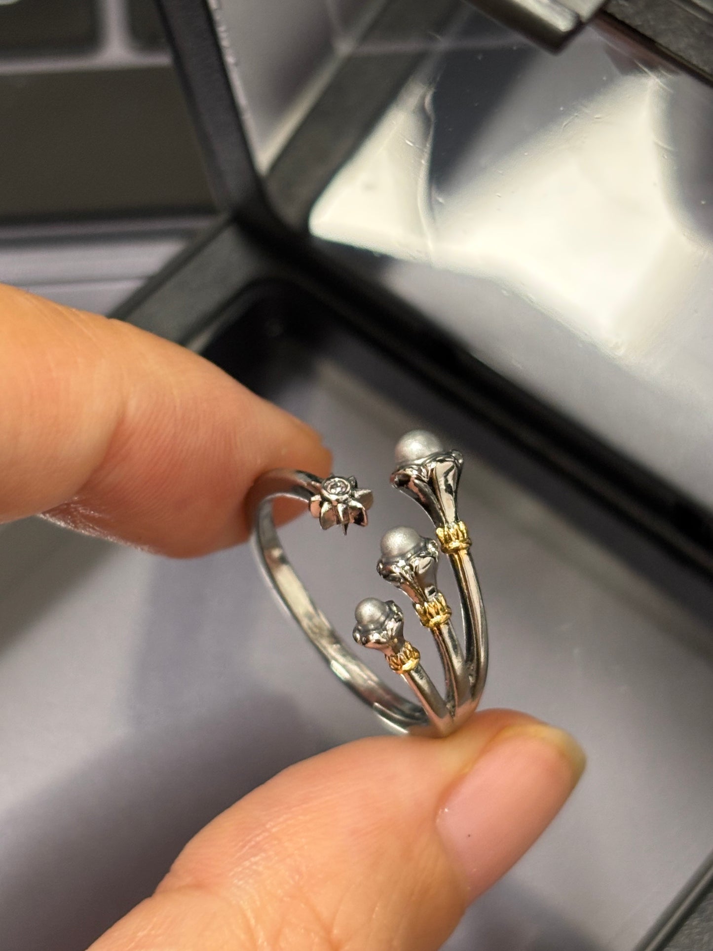 Robin Inspired Rings