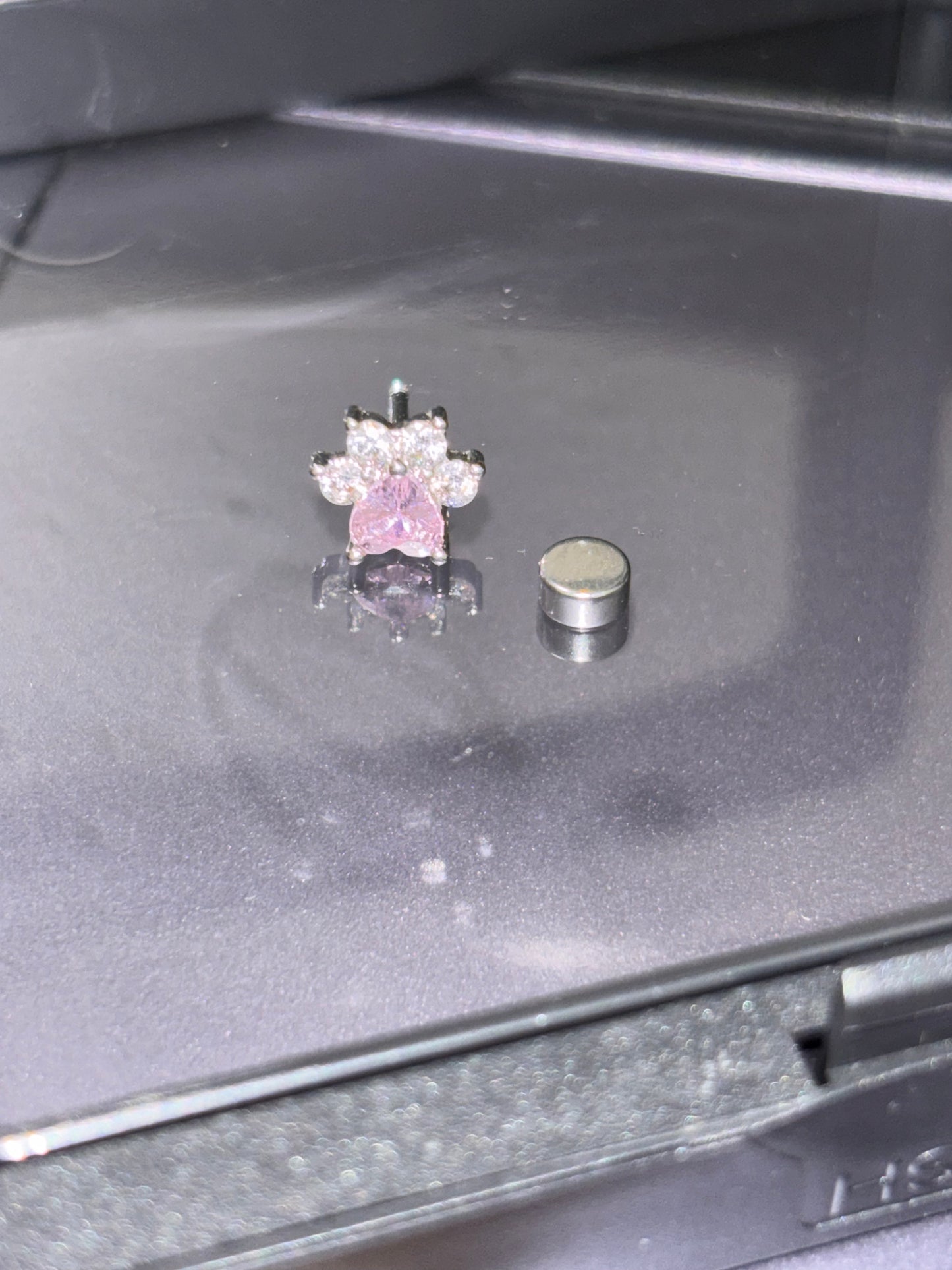 Adorable AFTG The Foxhole Court Paw Stud Earrings