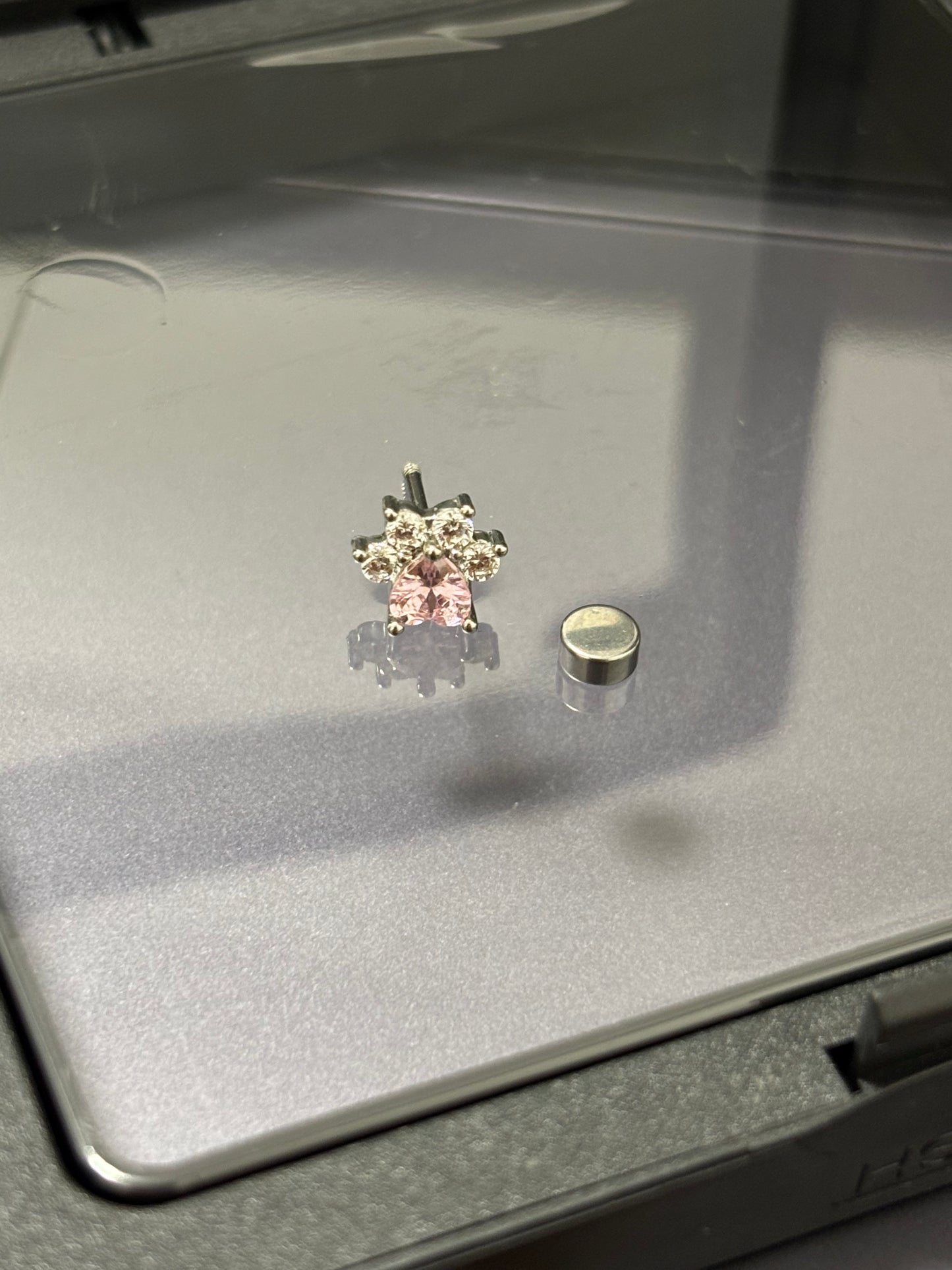 Adorable AFTG The Foxhole Court Paw Stud Earrings