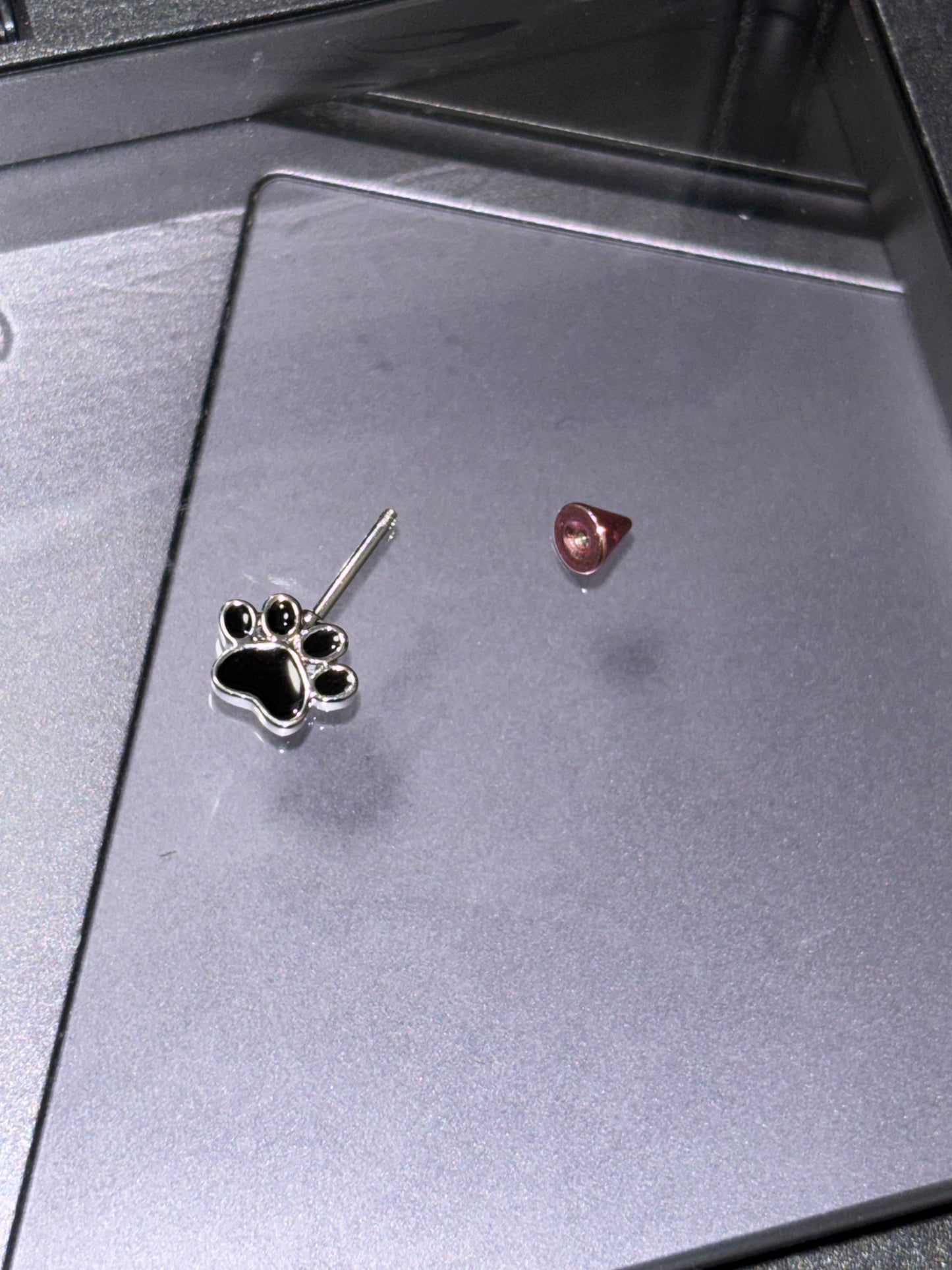 Adorable AFTG The Foxhole Court Paw Stud Earrings