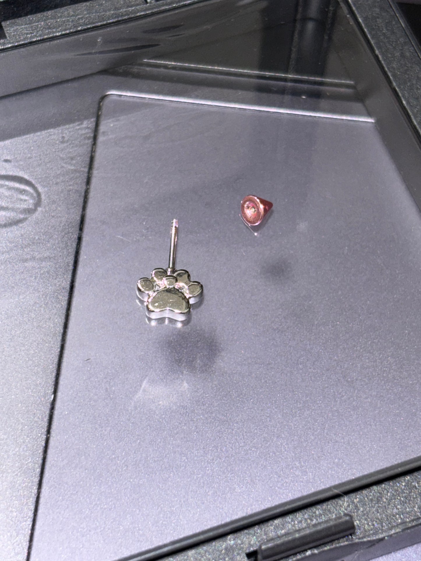 Adorable AFTG The Foxhole Court Paw Stud Earrings