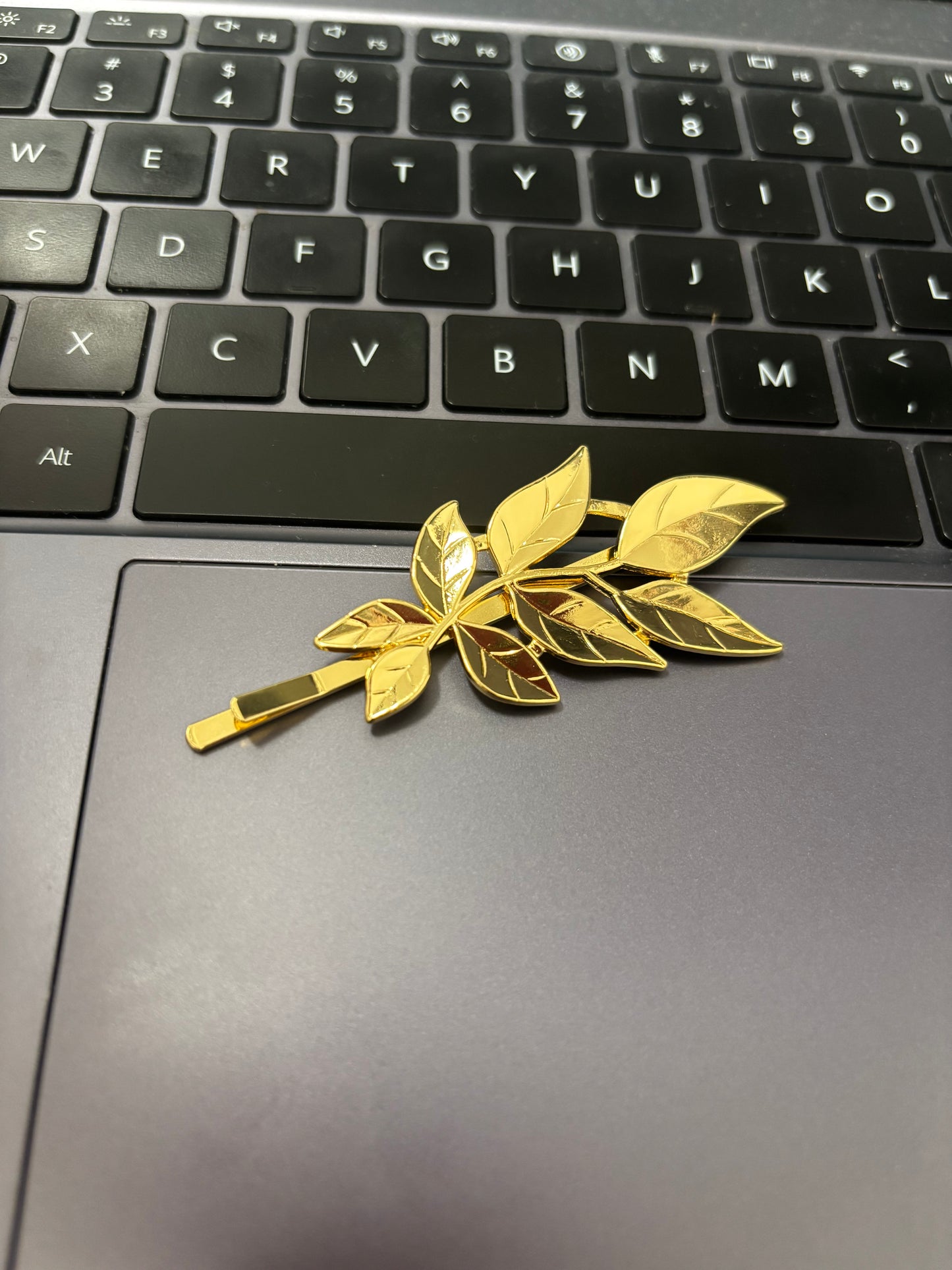 Dr. Ratio Inspired Hair Clip