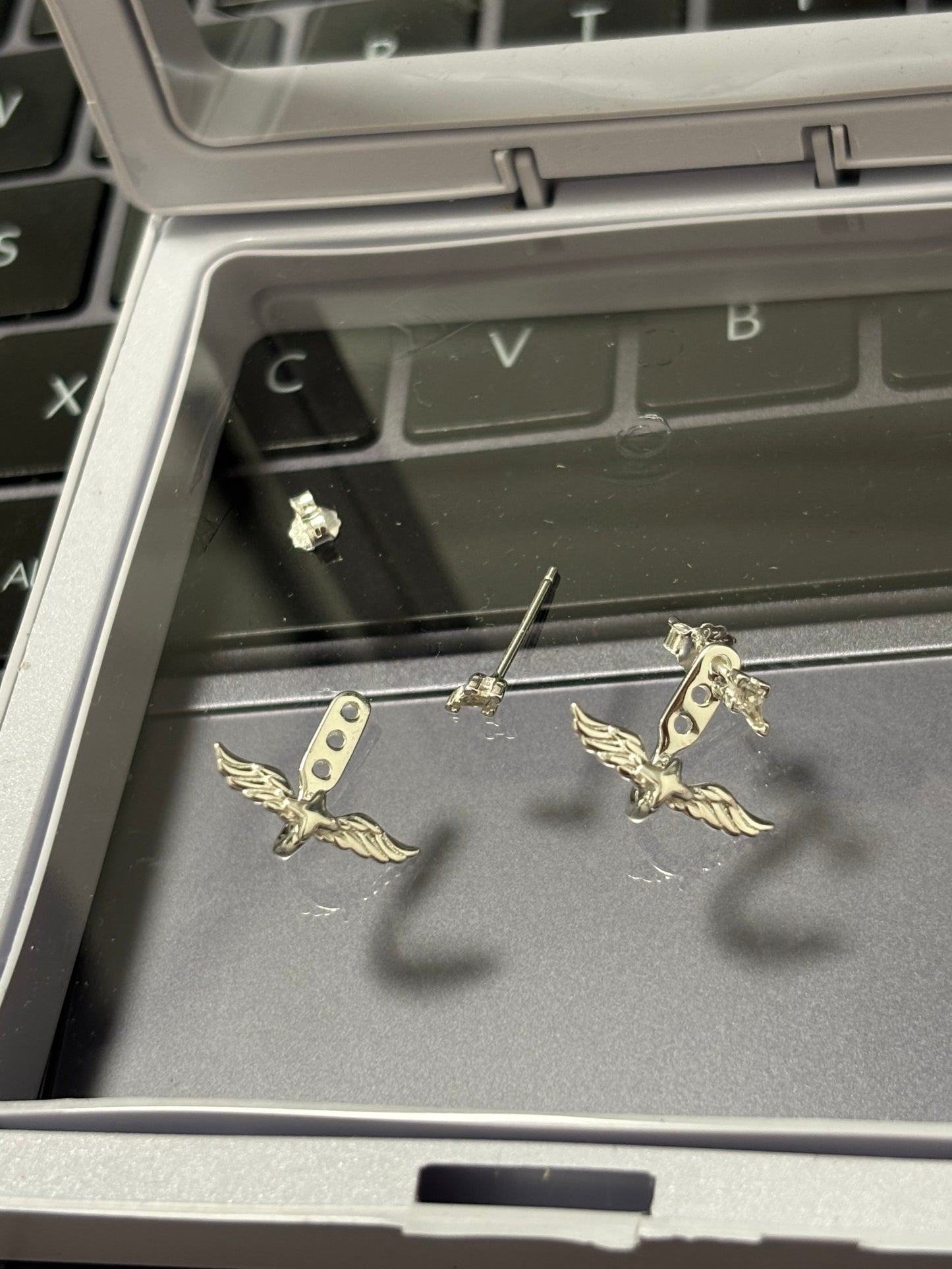 Robin Inspired S925 Silver Angel Wing Earrings