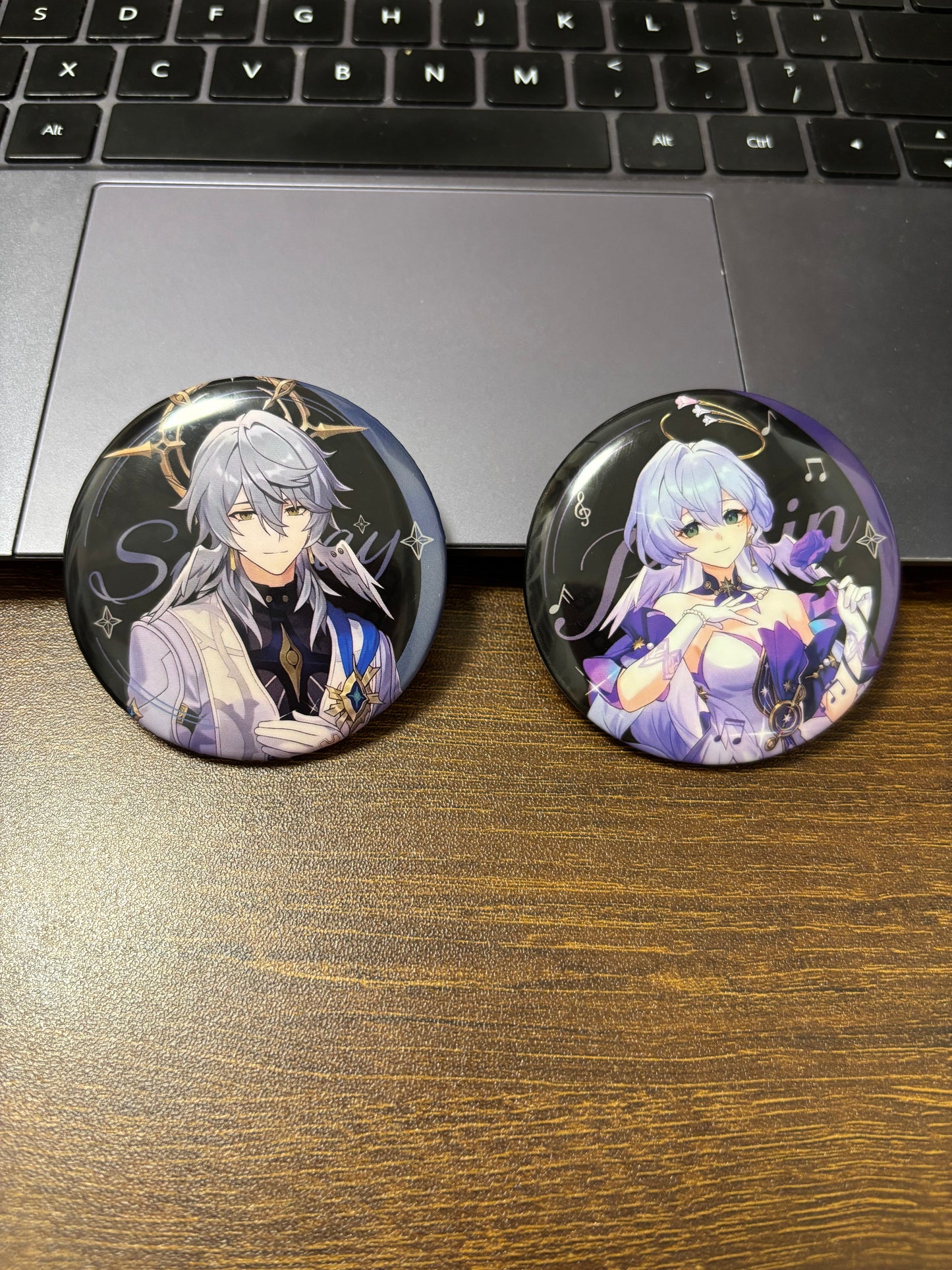 Star Rail Sunday and Robin Pin