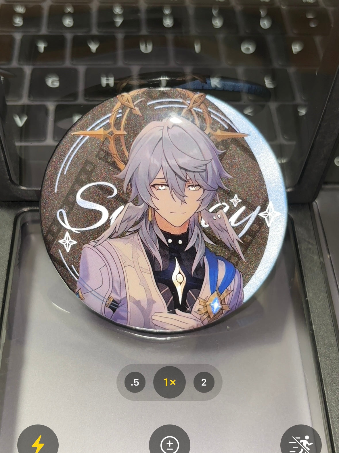 Star Rail Sunday and Robin Pin