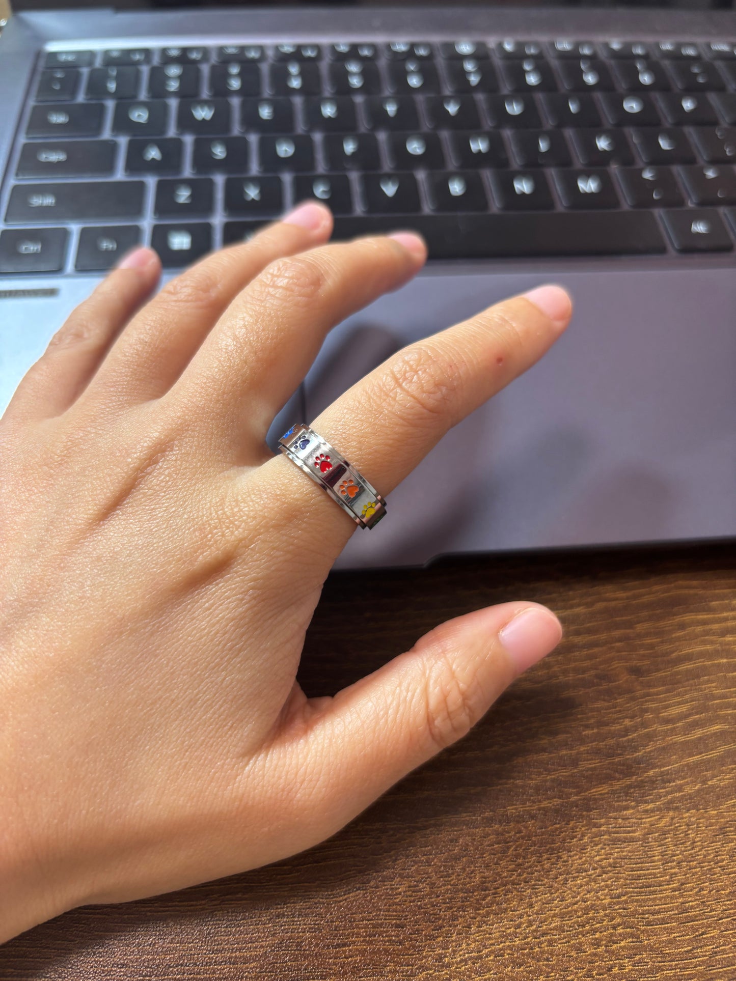 The Foxhole Court Rainbow Stainless Steel Rotatable rings