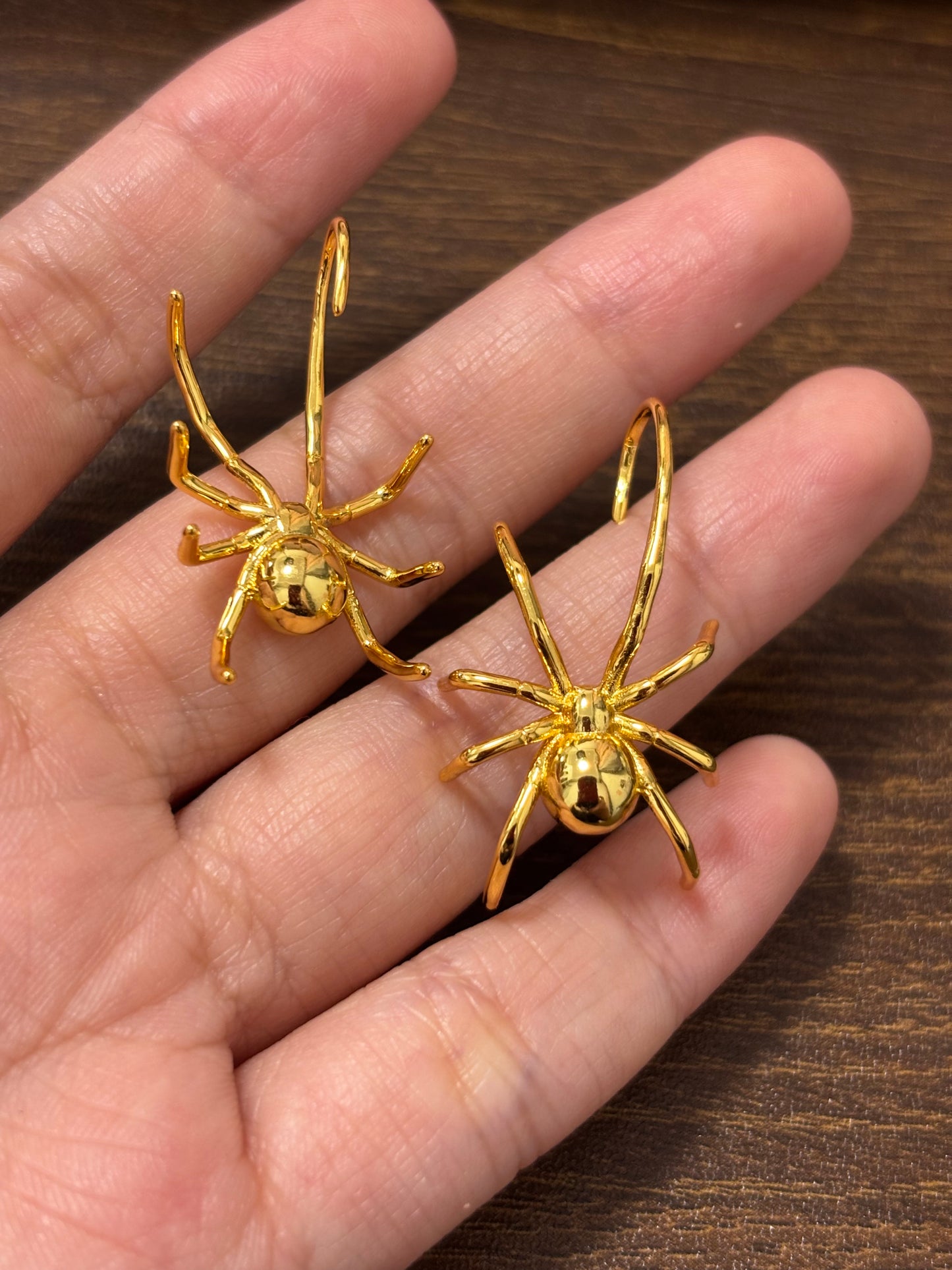 Designer Spider Hook Earrings