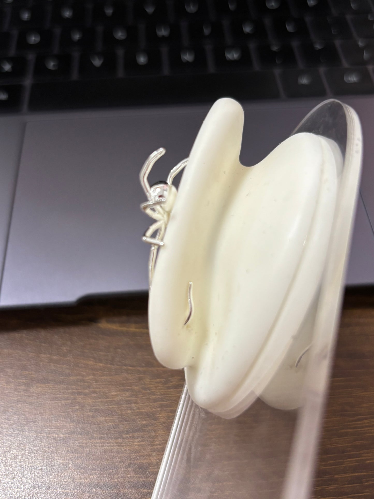 Designer Spider Hook Earrings