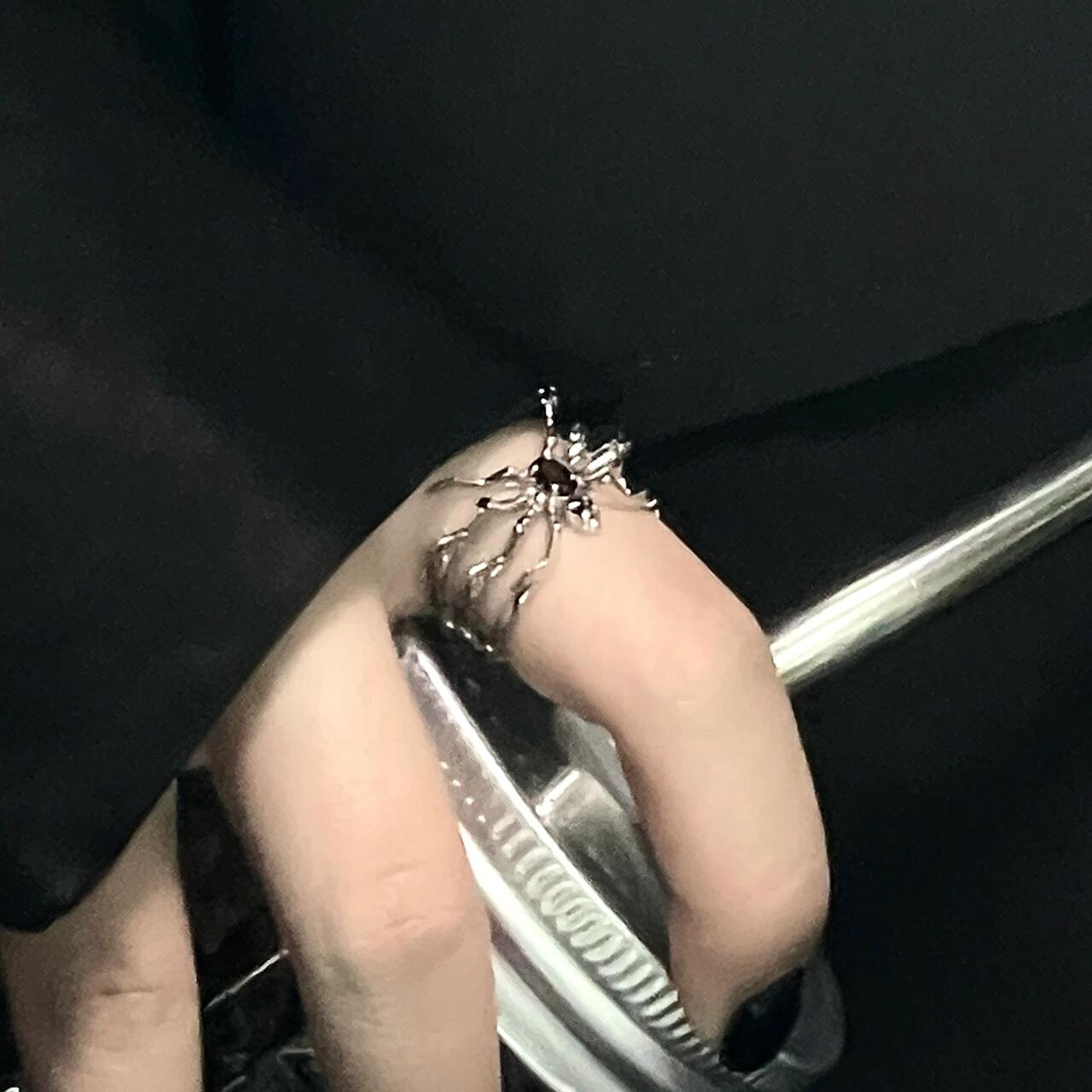 Schicker Spinnenring und Nagelring im Unisex-Punk-Stil